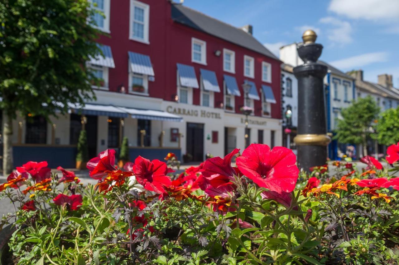 The Carraig Hotel Carrick-on-Suir Luaran gambar